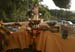 Wedding (66)